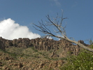 photo thumbnail #14