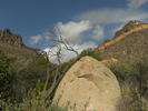 photo thumbnail #15