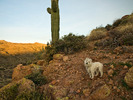 photo thumbnail #2