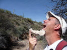 photo thumbnail #11