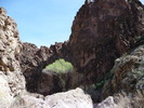 photo thumbnail #14