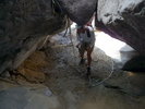 photo thumbnail #15