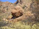 photo thumbnail #1