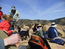 photo thumbnail #6