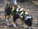 photo thumbnail #7