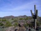 photo thumbnail #4