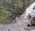 photo thumbnail #11