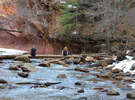 photo thumbnail #8