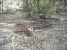 photo thumbnail #3