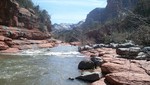 photo thumbnail #4