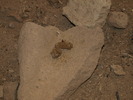 photo thumbnail #14