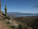 photo thumbnail #3