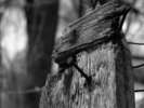 photo thumbnail #13