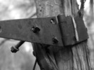 photo thumbnail #14