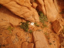 photo thumbnail #15