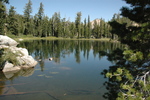 photo thumbnail #6