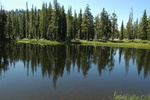 photo thumbnail #12
