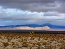 photo thumbnail #7