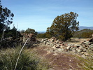 photo thumbnail #7