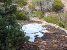 photo thumbnail #8