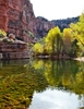 photo thumbnail #4