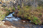 photo thumbnail #8