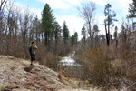 photo thumbnail #3