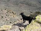 photo thumbnail #15
