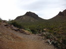 photo thumbnail #4