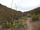 photo thumbnail #5