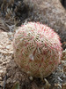 photo thumbnail #4