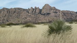 photo thumbnail #6