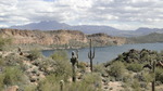 photo thumbnail #4
