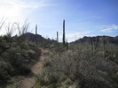 photo thumbnail #1