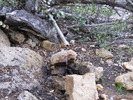 photo thumbnail #11