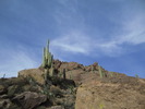 photo thumbnail #13