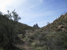 photo thumbnail #14