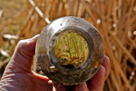 photo thumbnail #7