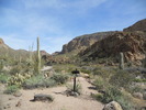 photo thumbnail #10