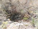 photo thumbnail #12