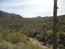 photo thumbnail #13