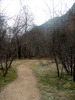 photo thumbnail #7