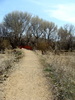photo thumbnail #5