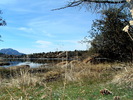 photo thumbnail #13