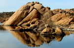 photo thumbnail #14