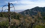photo thumbnail #8