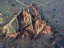 photo thumbnail #11