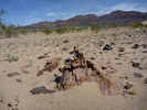 photo thumbnail #13