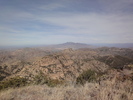 photo thumbnail #5