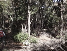 photo thumbnail #8